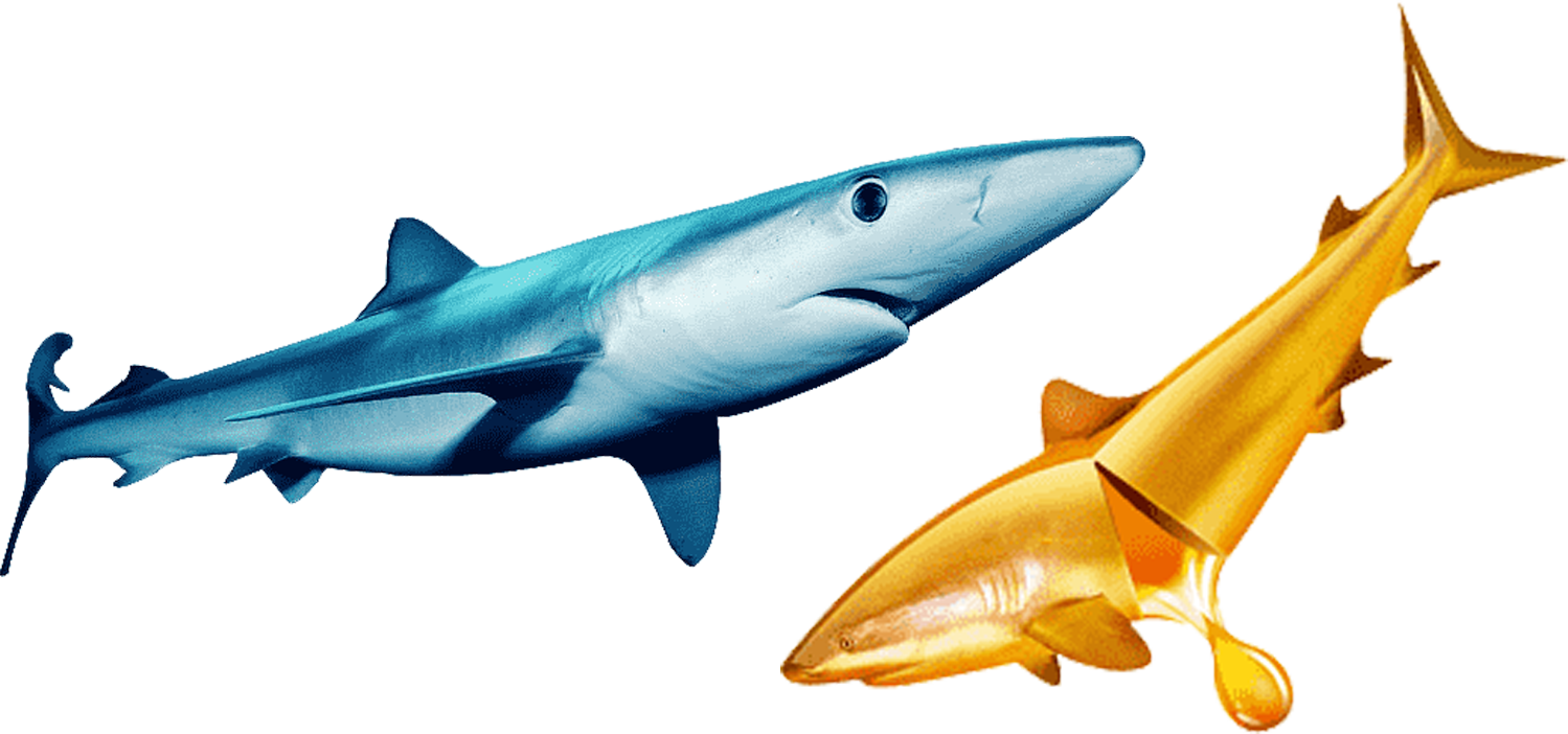 squalene fish oil squalene fish oil